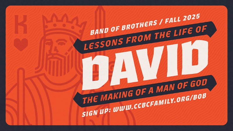 Lessons from the Life of David