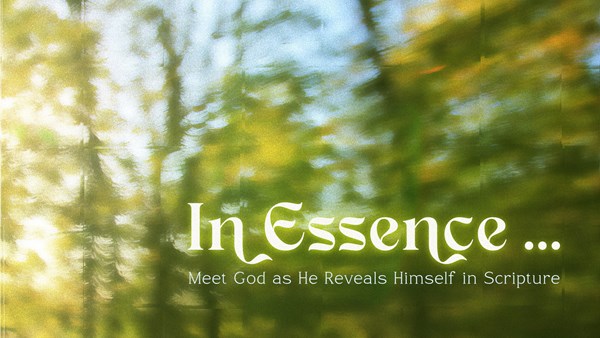 Women in the Word